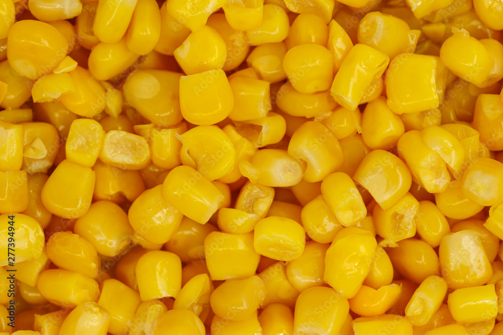 Yellow corn seeds background seamless texture close up Yellow corn seeds background seamless texture close up