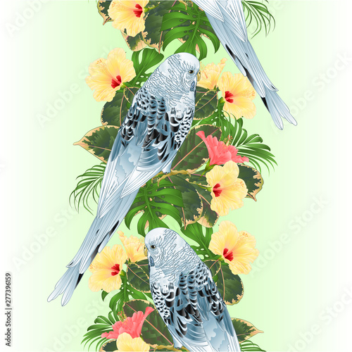 Vertical border seamless background Budgerigar, blue pet parakeet or shell parakeet or budgie home pet with philodendron and hibiscus pink and yellow  tropical  background vintage vector illustration