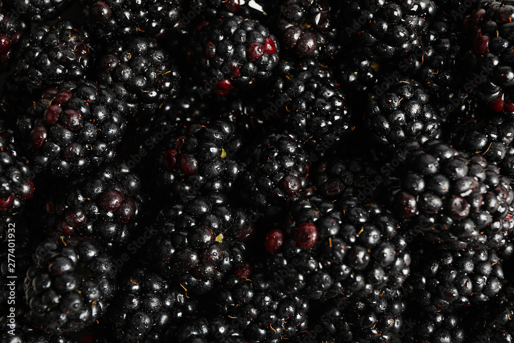 Fresh blackberry with small drops as background, close up Fresh blackberry with small drops as background, close up