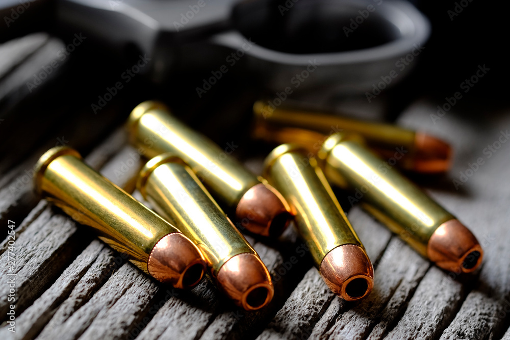 Handgun Cylinder For Bullets Ammunition Pistol Load Loaded