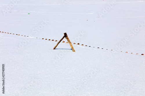 Sticks and floats in the snow