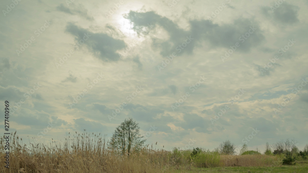 Fototapeta premium Clouds move very fast, light rays make their way through the clouds, grass and trees wind blows High quality 10bit time lapse. Very easy color correction
