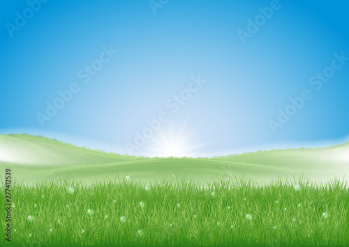 morning fog and rising sun. green hilly meadows. blue sky. dew glitters on the grass