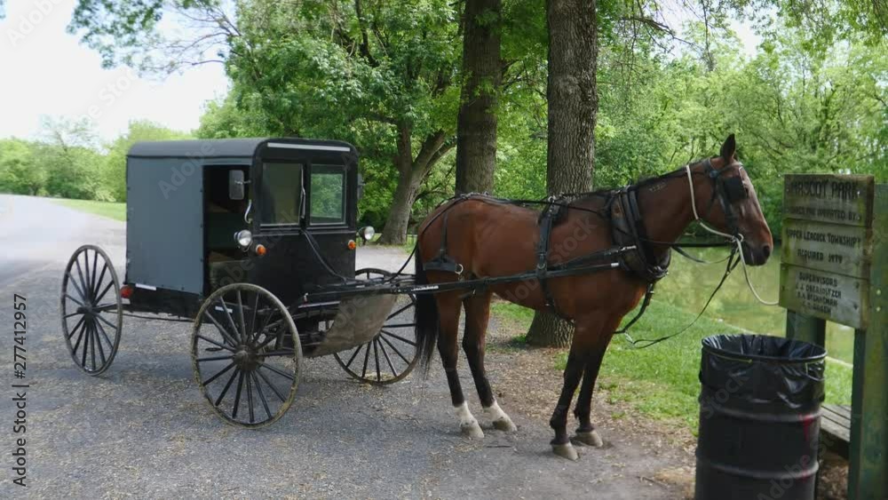 Amish Horse and Buggy Tied Up Waiting Amish Horse and Buggy Tied Up Waiting