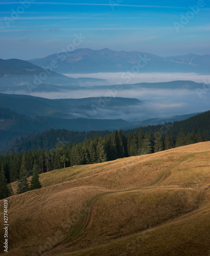 Alpine meadow on background of mountains photo