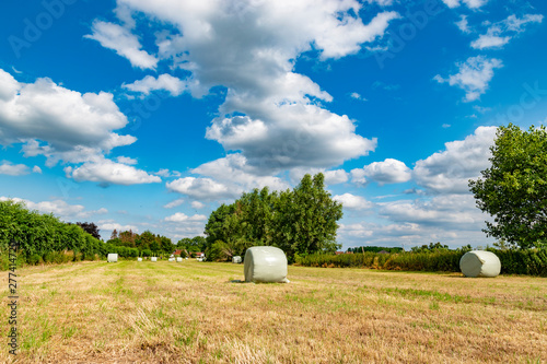 wrapped round hay bales