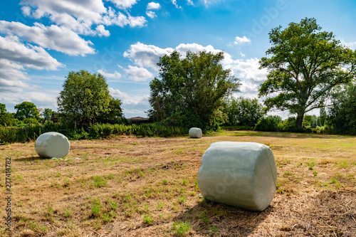wrapped round hay bales
