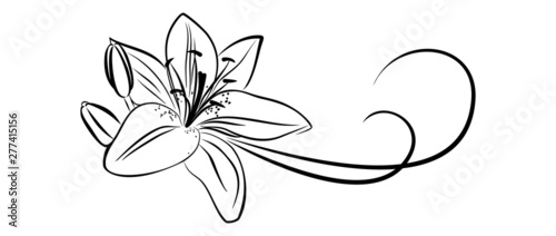 Simbol of lily flower