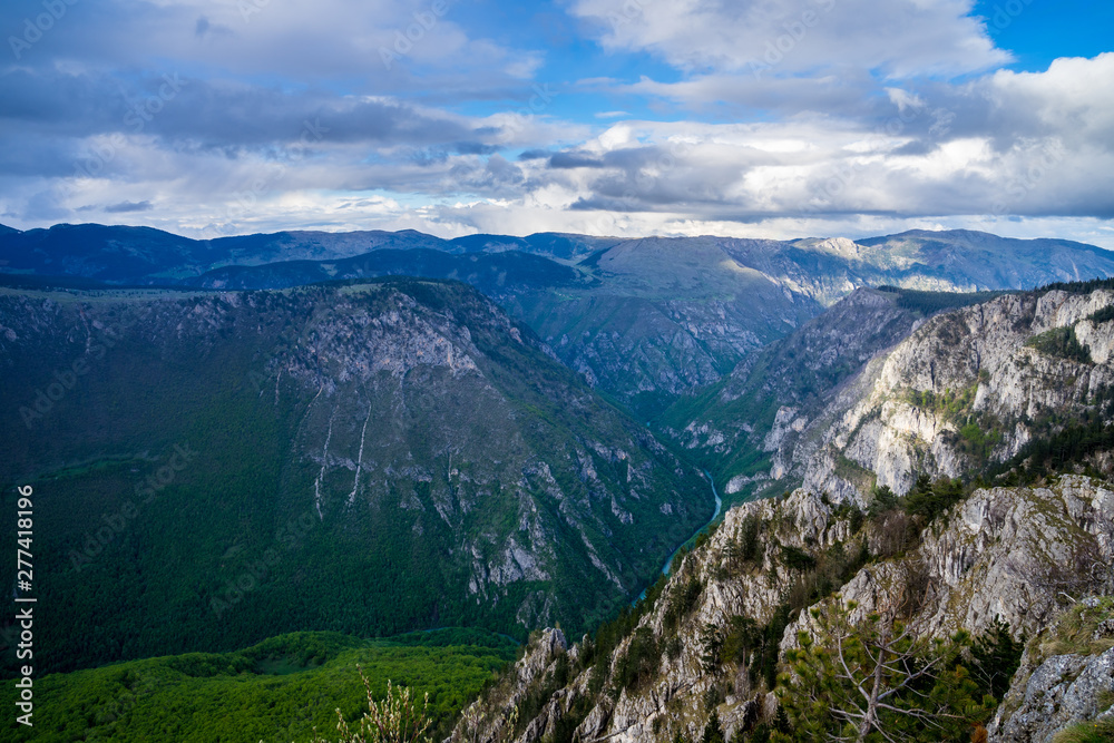 Montenegro, Spectacular wide view over giant tara river canyon nature landscape from peak of a mountain at dawn in beautiful natural durmitor national park near zabljak