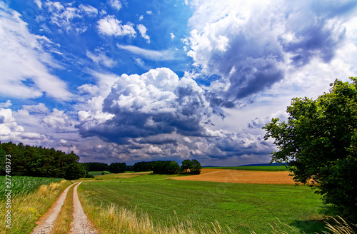 beautiful sky with clouds over the field near the forest