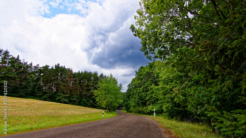 Fototapeta premium beautiful sky with clouds over the field near the forest