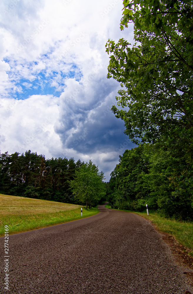 beautiful sky with clouds over the field near the forest beautiful sky with clouds over the field near the forest