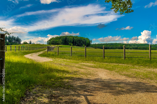 Geschwungener Feldweg