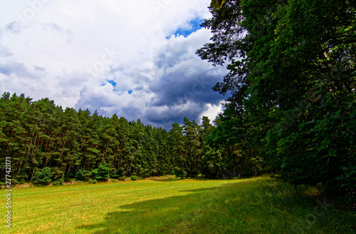 beautiful sky with clouds over the field near the forest