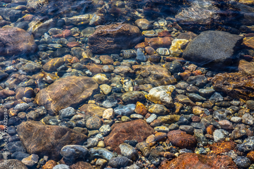 Colored Rocks Under Clear Water 8