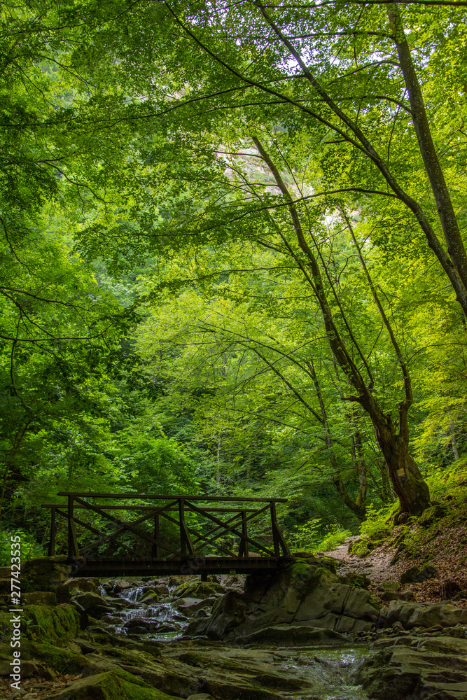 Wooden bridge over crystal river in wond Wooden bridge over crystal river in wond