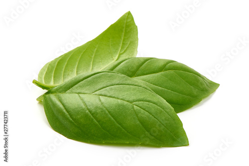 Sweet basil herb leaves, close-up, isolated on white background. Sweet Genovese basil