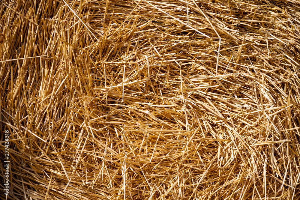 A stack of hay summer gold A stack of hay summer gold