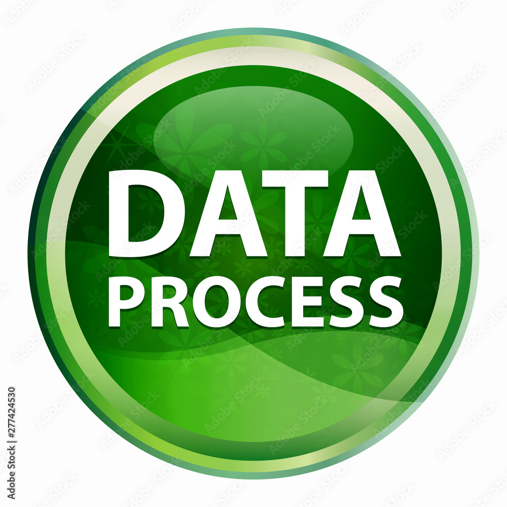 Data Process Natural Green Round Button Data Process Natural Green Round Button