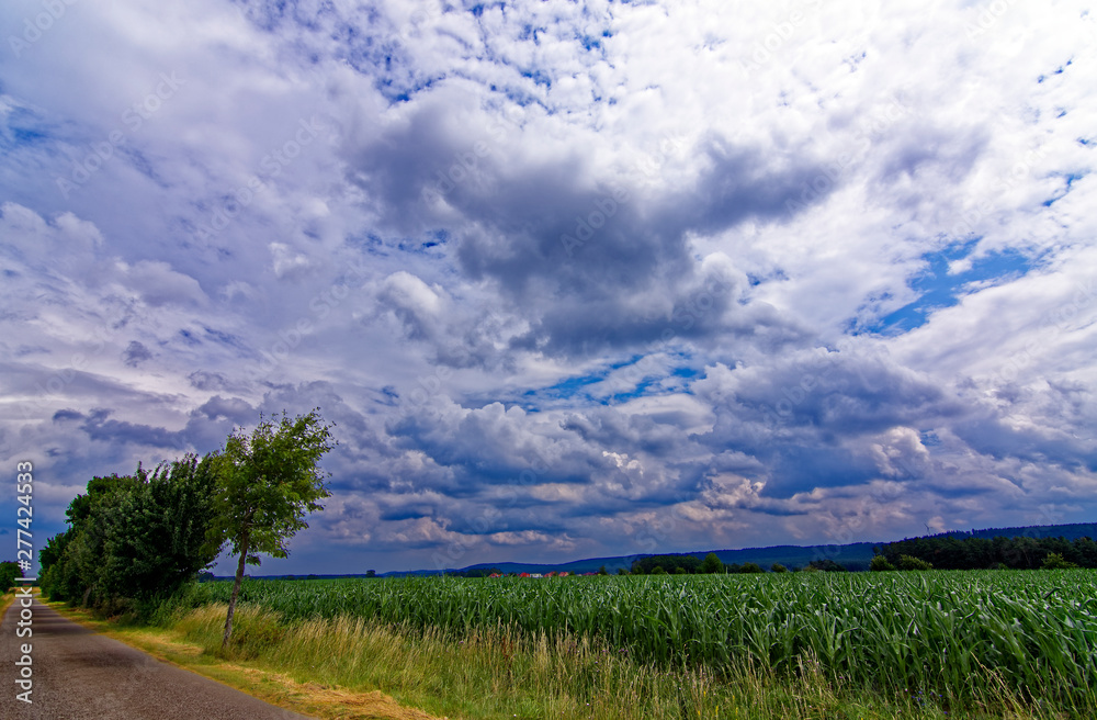 beautiful sky with clouds over the field near the forest beautiful sky with clouds over the field near the forest