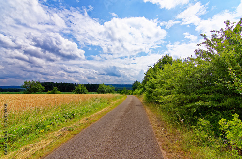 beautiful sky with clouds over the field near the forest