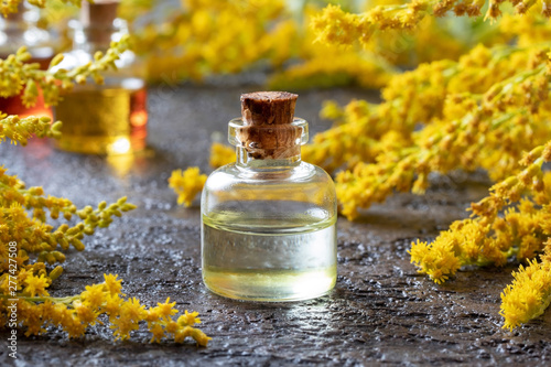 A bottle of goldenrod essential oil with fresh plant