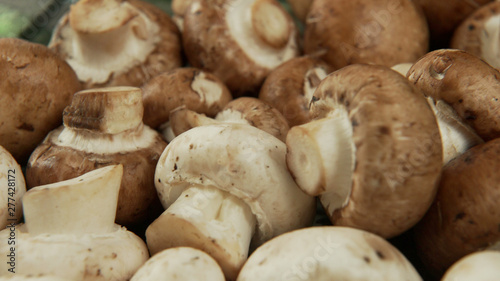 A set of white and brown mushrooms, slow panorama. 4K UHD 3840x2160 Video Clip