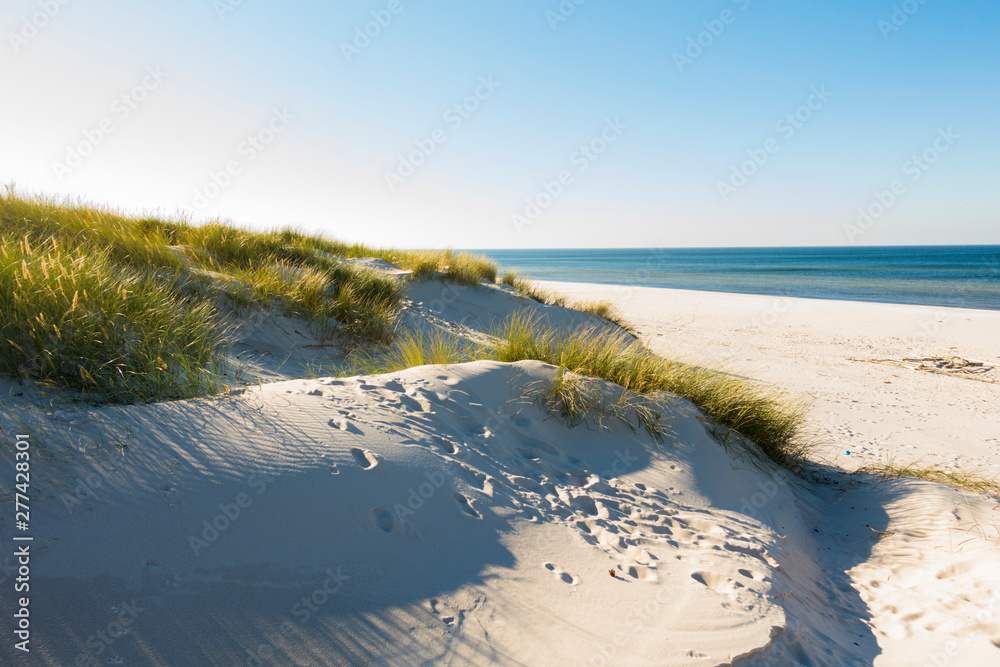 Czołpino wydma wydmy morze bałtyckie bałtyk piasek plaża