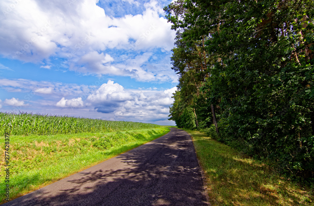 Obraz premium beautiful sky with clouds over the field near the forest