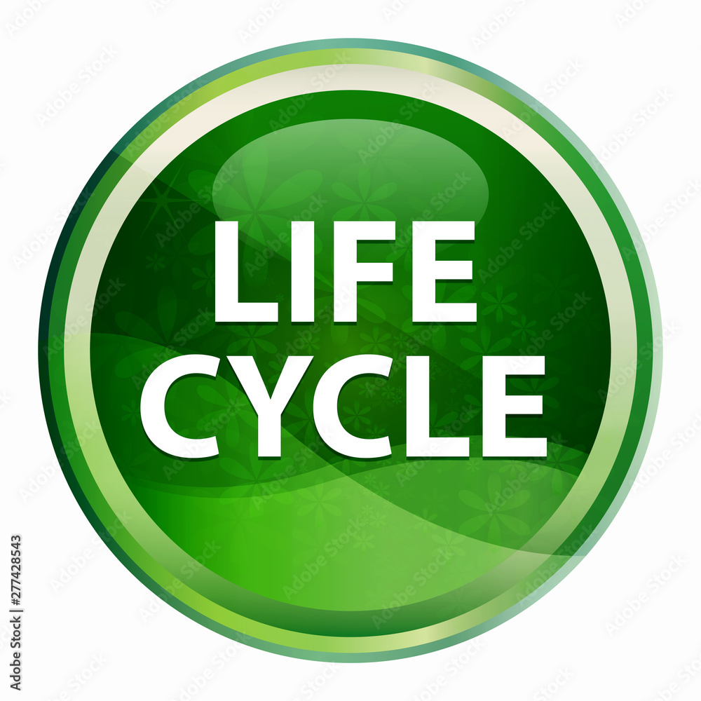 Life Cycle Natural Green Round Button Life Cycle Natural Green Round Button
