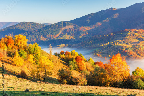 countryside in mountains in the morning. grassy rural slopes with fields and trees in fall foliage. beautiful autumn scenery with fog in the valley.