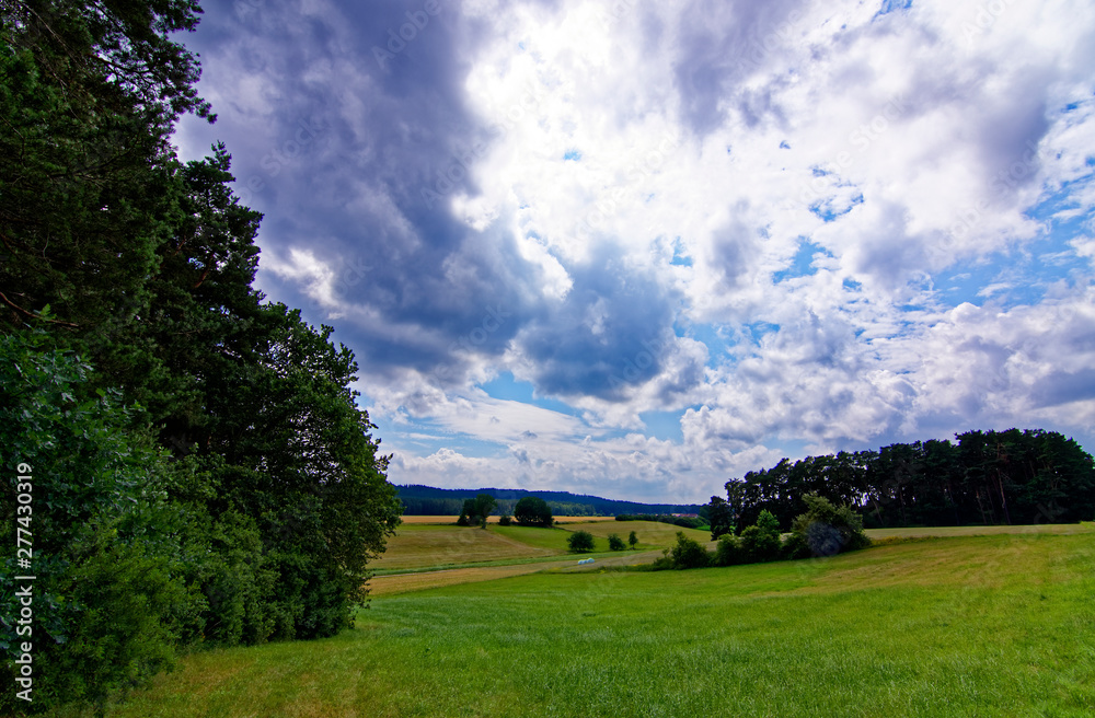 beautiful sky with clouds over the field near the forest beautiful sky with clouds over the field near the forest