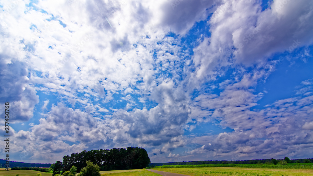 Fototapeta premium beautiful sky with clouds over the field near the forest