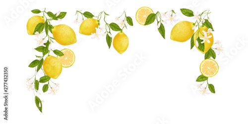 Foto Yellow citrus fruit frame