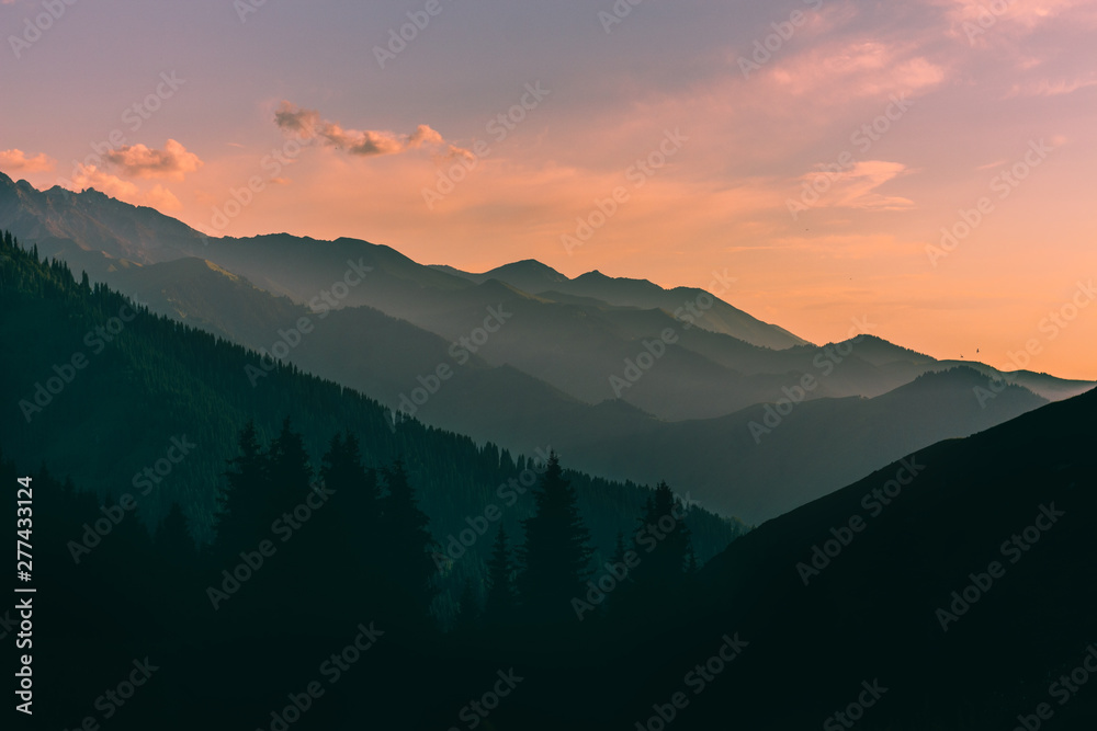 Mountain landscape with green fir-trees and red sunset