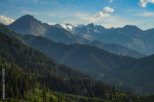 Mountain landscape with green coniferous forest © Rem.photographer