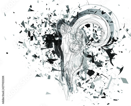 Vector abstract chaotic background. exploded lamb skull