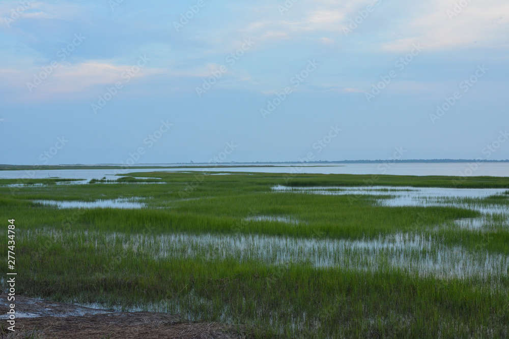 Fototapeta premium Salt marsh at Tom's Cove on Assateague Island National Seashore
