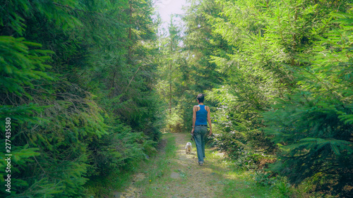 Woman walking with french bulldog in the forester. Rear back view. Girl with short black hair wearing in casual jeans and blue t-shirt going with dog in the forester at summer season. Holding lead in