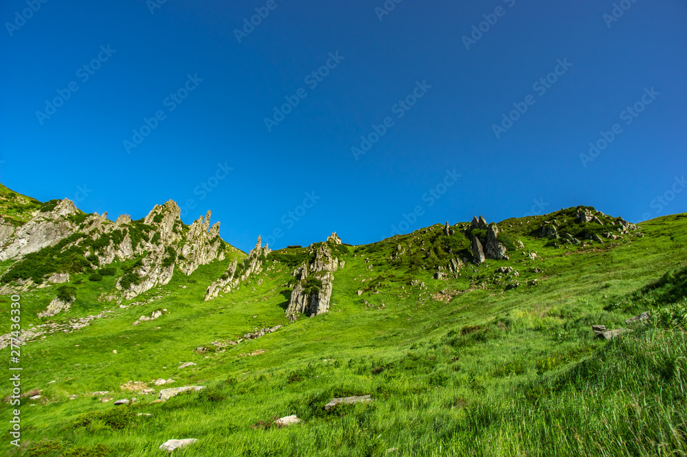 Rocky hills in the Carpathian mountains in summer