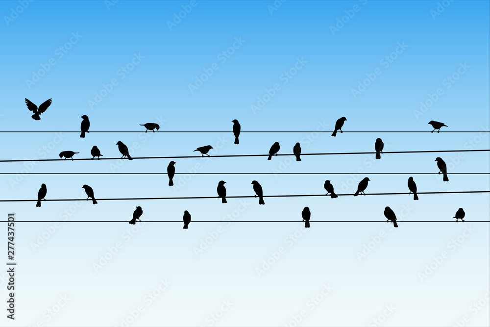 Vecteur Stock Birds on wires. Vector illustration with silhouette of