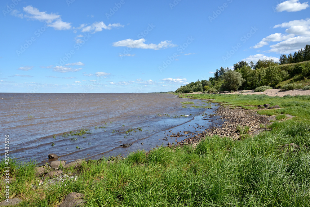 Summer landscape of a lake with green grass in the foreground and a hilly  and wooded shore with a blue cloudy sky. Lake Ilmen Novgorod region.  European landscape with a lake Stock