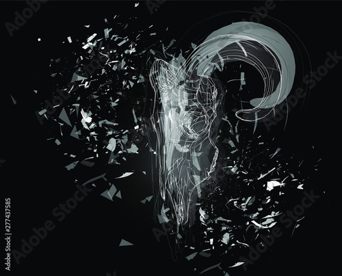 Vector abstract chaotic background. exploded lamb skull
