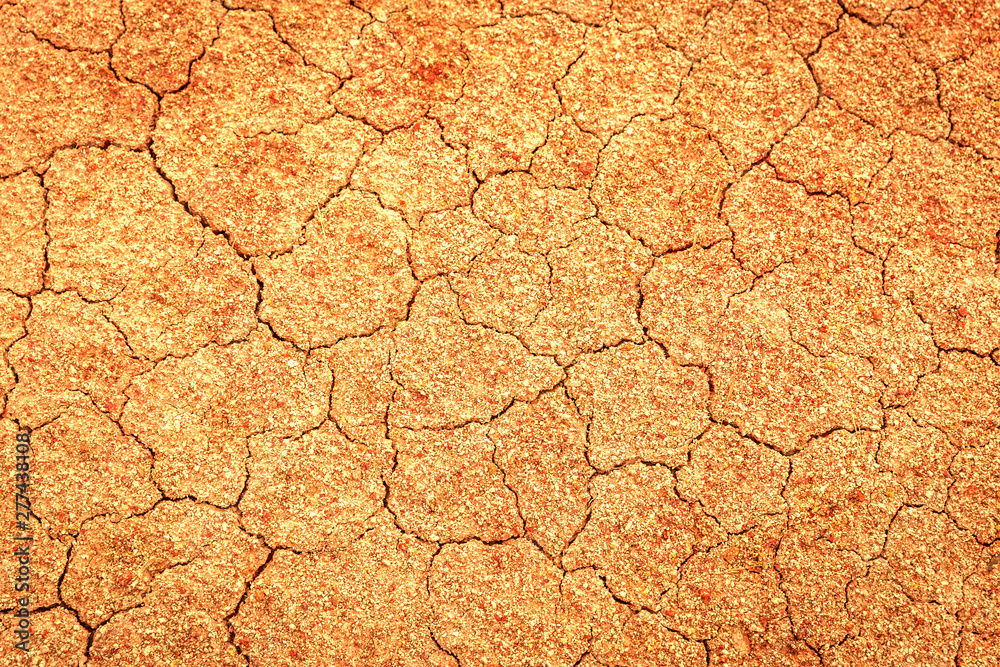 A cracked earth in Amazon with red/yellow tonish in Brazil A cracked earth in Amazon with red/yellow tonish in Brazil