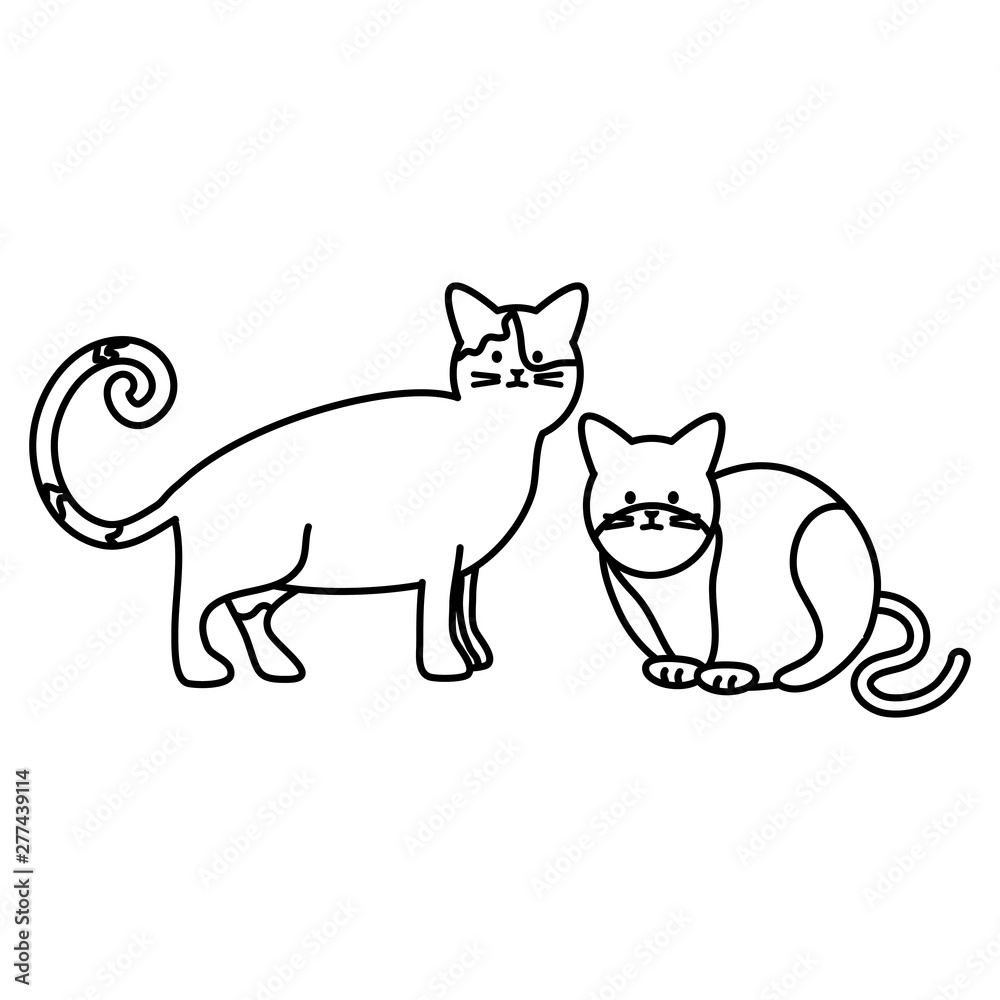 cute cats mascots adorables characters cute cats mascots adorables characters
