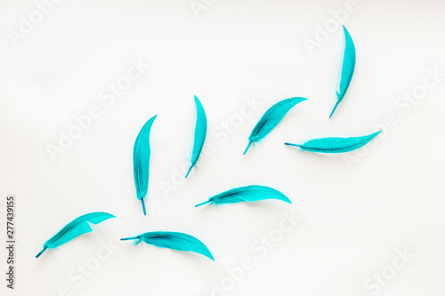 design for blog or desktop with colorful bird feathers on white background top view mockup