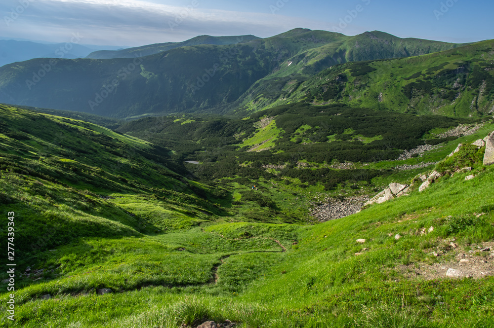 Path in the Carpathian mountains in summer Path in the Carpathian mountains in summer