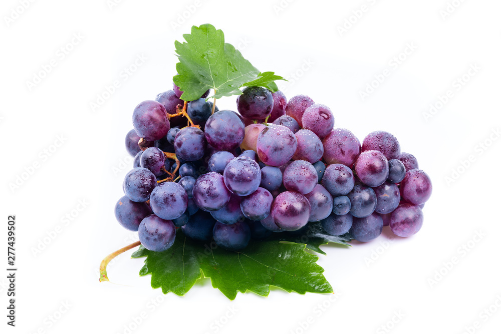 Fototapeta premium purple grapes with water drops on white background