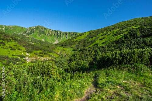 Path in the Carpathian mountains in summer © onyx124
