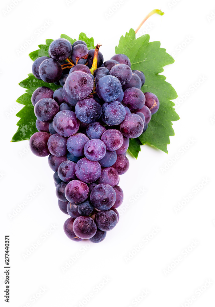 Fototapeta premium purple grapes with water drops on white background